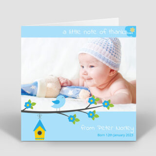 Baby Bird – Boy