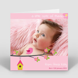 Baby Bird – Girl