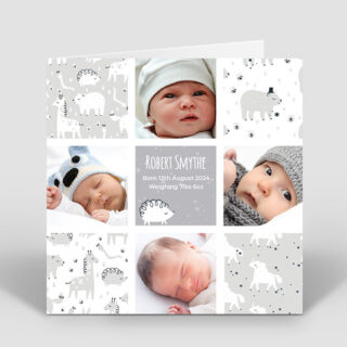 Animal Dreams – Boy